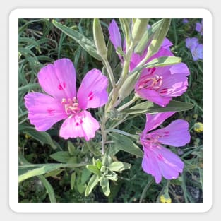 Purple Wild Flower Sticker